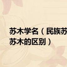 苏木学名（民族苏木与苏木的区别）