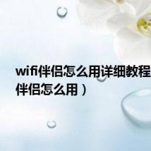 wifi伴侣怎么用详细教程(wifi伴侣怎么用)