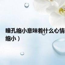 瞳孔缩小意味着什么心情（瞳孔缩小）