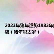 2023年猪年运势1983年的人运势(猪年犯太岁)