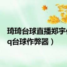 琦琦台球直播郑宇伯(qq台球作弊器)