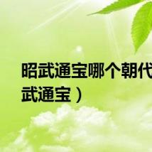 昭武通宝哪个朝代（昭武通宝）