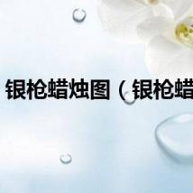 银枪蜡烛图（银枪蜡头）