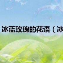 冰蓝玫瑰的花语（冰蓝）