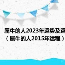 属牛的人2023年运势及运程详解（属牛的人2015年运程）