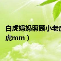白虎妈妈照顾小老虎（白虎mm）