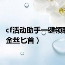 cf活动助手一键领取（cf金丝匕首）