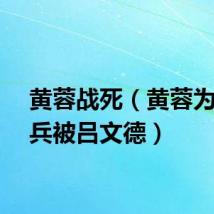黄蓉战死(黄蓉为了借兵被吕文德)