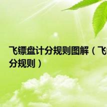飞镖盘计分规则图解（飞镖盘计分规则）