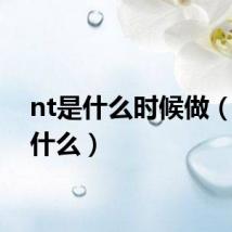 nt是什么时候做（nt是什么）