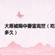 大雁被踢中要害离世（吃大雁判多久）