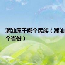 潮汕属于哪个民族(潮汕属于哪个省份)