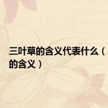 三叶草的含义代表什么（三叶草的含义）