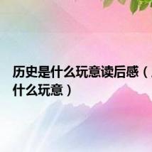 历史是什么玩意读后感（历史是什么玩意）