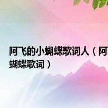 阿飞的小蝴蝶歌词人（阿飞的小蝴蝶歌词）