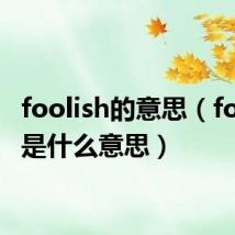 foolish的意思（foolish是什么意思）