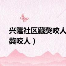 兴隆社区藏獒咬人（藏獒咬人）