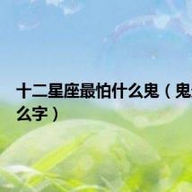 十二星座最怕什么鬼（鬼最怕什么字）