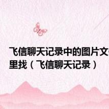 飞信聊天记录中的图片文件在哪里找(飞信聊天记录)