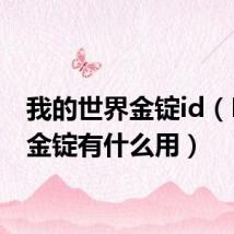 我的世界金锭id（DNF 金锭有什么用）