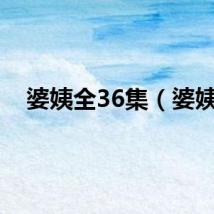 婆姨全36集（婆姨）