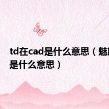 td在cad是什么意思（魅族td版是什么意思）