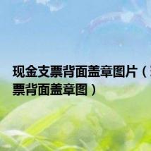 现金支票背面盖章图片(现金支票背面盖章图)