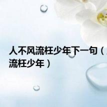 人不风流枉少年下一句(人不风流枉少年)
