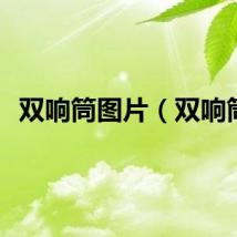 双响筒图片（双响筒）