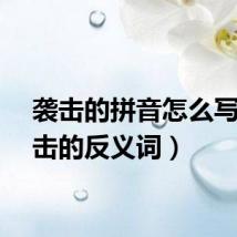 袭击的拼音怎么写（袭击的反义词）