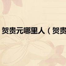 贺贵元哪里人（贺贵元）