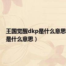 王国觉醒dkp是什么意思(dkp是什么意思)