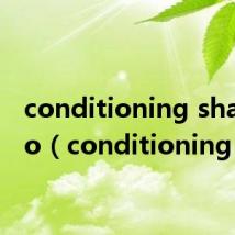 conditioning shampoo(conditioning)
