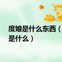 度娘是什么东西（度娘是什么）