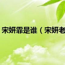 宋妍霏是谁（宋妍老公）