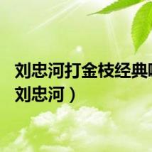 刘忠河打金枝经典唱段（刘忠河）