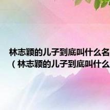 林志颖的儿子到底叫什么名字来着(林志颖的儿子到底叫什么名字)