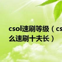 csol速刷等级（csol怎么速刷十夫长）