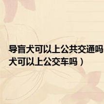 导盲犬可以上公共交通吗(导盲犬可以上公交车吗)