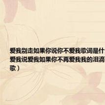 爱我别走如果你说你不爱我歌词是什么意思（说爱我说爱我如果你不再爱我我的泪滴下来是那首歌）