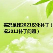 实况足球2021汉化补丁(关于实况2011补丁问题)