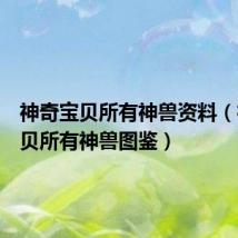 神奇宝贝所有神兽资料（神奇宝贝所有神兽图鉴）