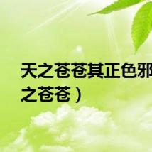 天之苍苍其正色邪（天之苍苍）