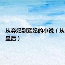 从弃妃到宠妃的小说（从弃妃到皇后）