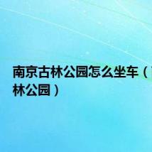 南京古林公园怎么坐车（南京古林公园）