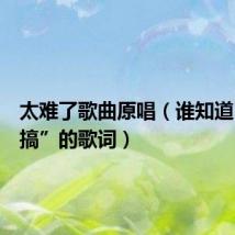 太难了歌曲原唱（谁知道“太难搞”的歌词）