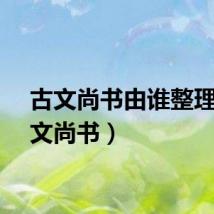 古文尚书由谁整理（古文尚书）