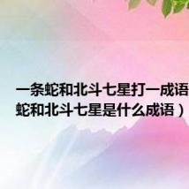 一条蛇和北斗七星打一成语（一条蛇和北斗七星是什么成语）