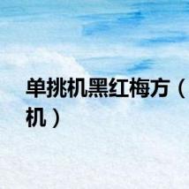 单挑机黑红梅方（单挑机）