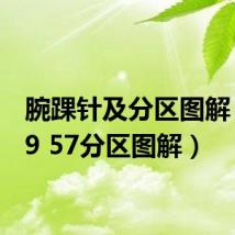 腕踝针及分区图解（dm9 57分区图解）
